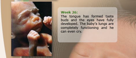 Week 26